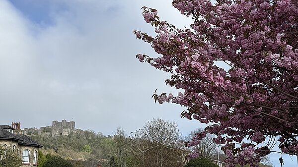 Dover