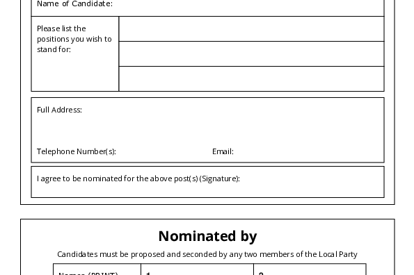 Executive nomination form 2023